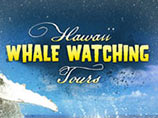 Whale Watching Tours